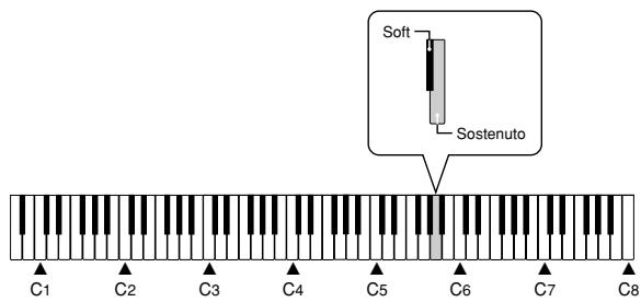 CASIO PX-100 - Selecting the Pedal Function - 2
