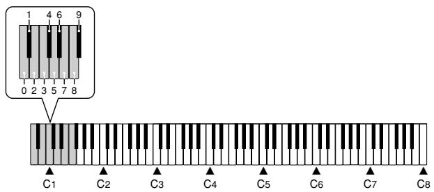 CASIO PX-100 - Playing a Music Library Tune - 4