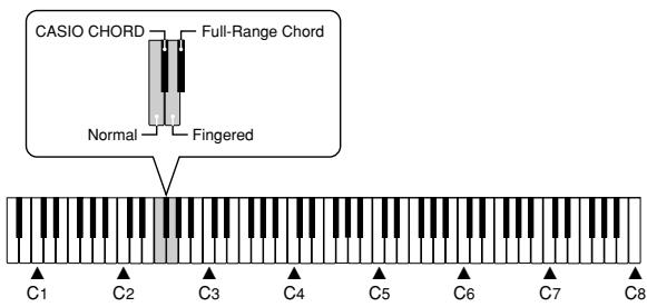 CASIO PX-100 - PREPARATION - 1