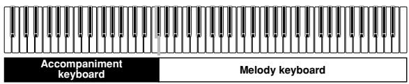 CASIO PX-100 - CASIO CHORD Accompaniment Keyboard and Melody Keyboard - 1
