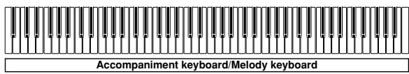 CASIO PX-100 - FULL RANGE CHORD Accompaniment Keyboard and Melody Keyboard - 1