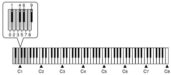 CASIO PX-100 - NOTE - 1