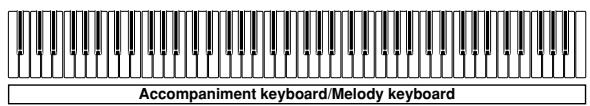 CASIO PX-110 - FULL RANGE CHORD Accompaniment Keyboard and Melody Keyboard - 1