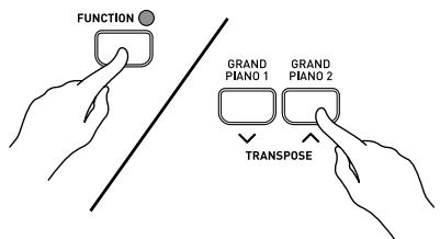 CASIO PX-110 - Changing the Piano Key - 2