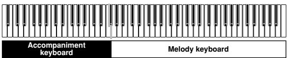 CASIO PX-110 - CASIO CHORD Accompaniment Keyboard and Melody Keyboard - 1