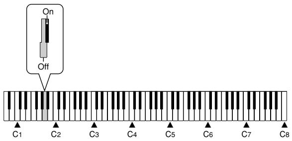 CASIO PX-110 - Turning the Count On and Off - 2
