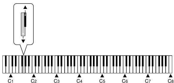 CASIO PX-110 - Adjusting Accompaniment and Built-in Tune Volume - 2
