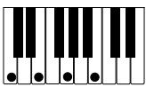 CASIO PX-110 - IMPORTANT! - 8