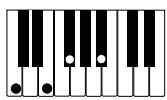 CASIO PX-110 - IMPORTANT! - 10