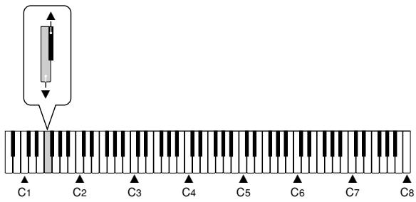 CASIO PX-110 - Adjusting the Effect Applied when the Damper Pedal is Pressed Half Way (With optional SP-30 only) - 2