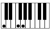 CASIO PX-110 - IMPORTANT! - 5