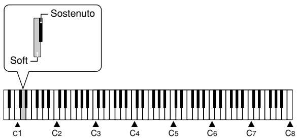 CASIO PX-110 - Selecting the Pedal Function - 2