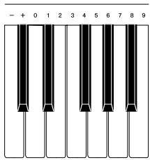 CASIO PX-110 - Numeric Input Keys and +/- Keys - 1
