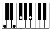 CASIO PX-310 - IMPORTANT! - 10