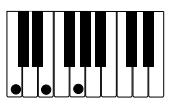 CASIO PX-310 - IMPORTANT! - 1