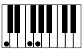 CASIO PX-310 - IMPORTANT! - 5