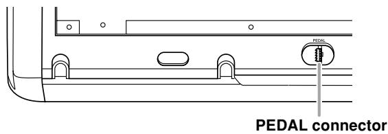 CASIO PX-310 - PEDAL connector - 1