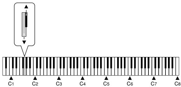 CASIO PX-310 - Adjusting Accompaniment Volume - 2