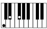 CASIO PX-310 - IMPORTANT! - 3