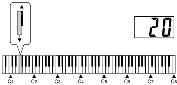 CASIO PX-310 - Adjusting the Effect Applied when the Damper Pedal is Pressed Half Way (With optional SP-30 only) - 2