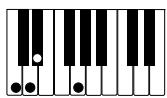 CASIO PX-310 - IMPORTANT! - 13