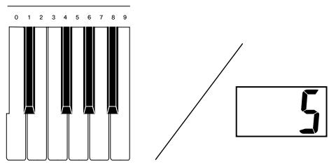 CASIO PX-310 - Playing Tunes You Download from the Internet - 4
