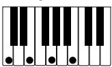 CASIO PX-310 - IMPORTANT! - 8