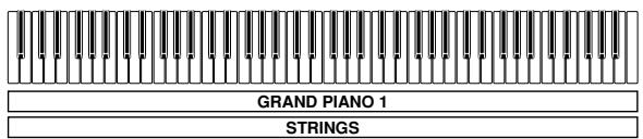 CASIO PX-310 - PREPARATION - 2