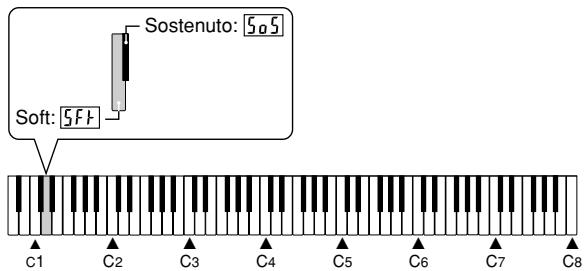 CASIO PX-310 - Selecting the Pedal Function - 2