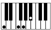 CASIO PX-310 - IMPORTANT! - 11