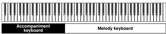 CASIO PX-310 - FINGERED Accompaniment Keyboard and Melody Keyboard - 1