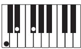 CASIO PX-400R - IMPORTANT! - 11