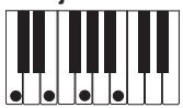 CASIO PX-400R - IMPORTANT! - 8