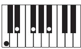 CASIO PX-400R - IMPORTANT! - 13