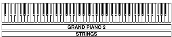 CASIO PX-500L - PREPARATION - 2