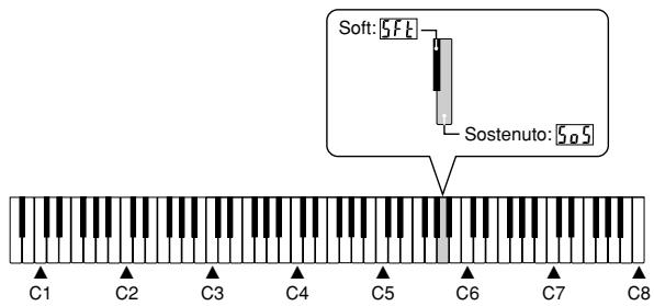 CASIO PX-500L - Selecting the Pedal Function - 2