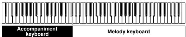 CASIO PX-500L - CASIO CHORD Accompaniment Keyboard and Melody Keyboard - 1