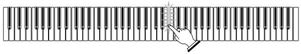 CASIO PX-500L - PREPARATION - 4