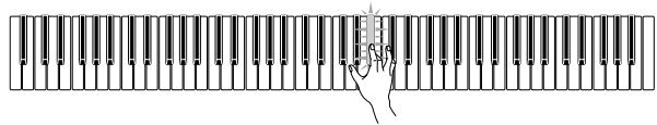 CASIO PX-500L - PREPARATION - 4