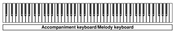 CASIO PX-500L - FULL RANGE CHORD Accompaniment Keyboard and Melody Keyboard - 1