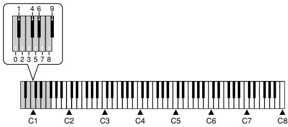 CASIO PX-500L - NOTE - 1