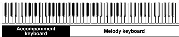 CASIO PX-500L - FINGERED Accompaniment Keyboard and Melody Keyboard - 1