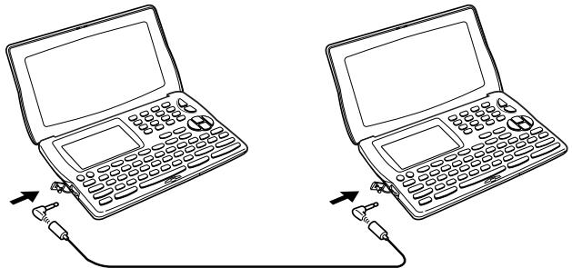 CASIO SF-4990 - Important! - 1