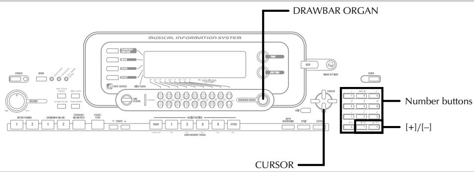 CASIO WK-3000 - Using the Drawbar Organ Mode - 1