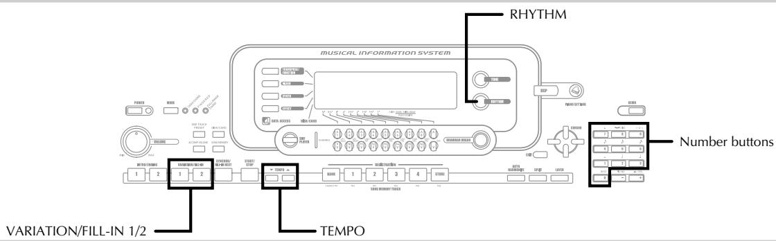 CASIO WK-3000 - Auto Accompaniment - 1