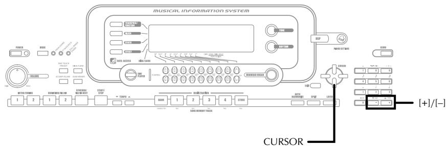 CASIO WK-3000 - Using the Drawbar Organ Mode - 1