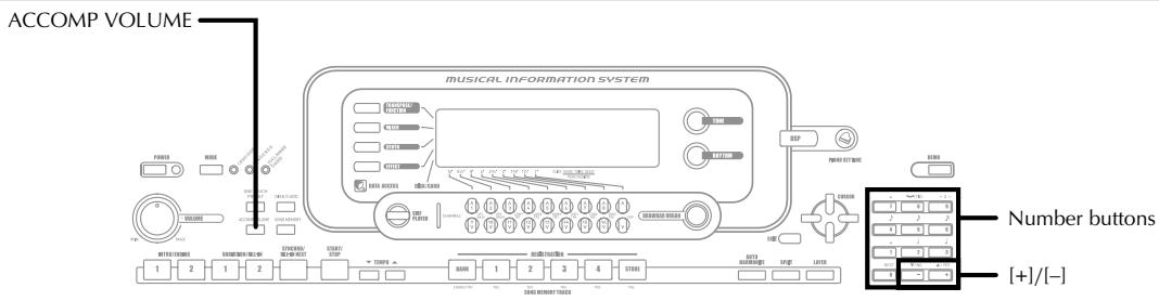 CASIO WK-3000 - Auto Accompaniment - 1