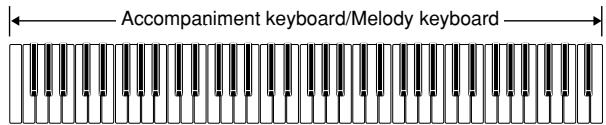 CASIO WK-3000 - FULL RANGE CHORD Accompaniment Keyboard and Melody Keyboard - 1