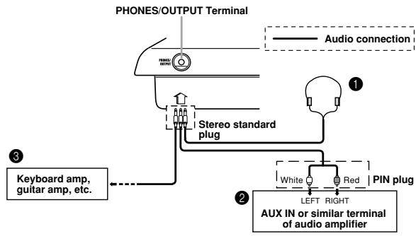 CASIO WK-3000 - WK-3000 - 1