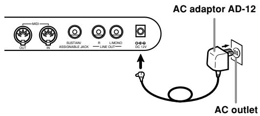 CASIO WK-3000 - Using the AC Adaptor - 1